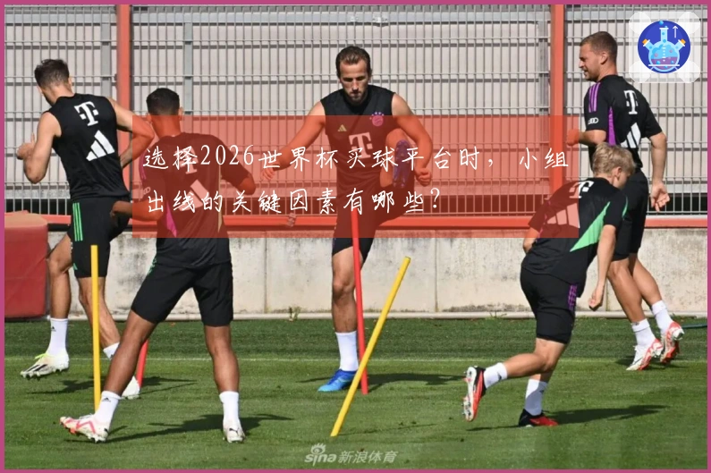 选择2026世界杯买球平台时，小组出线的关键因素有哪些？