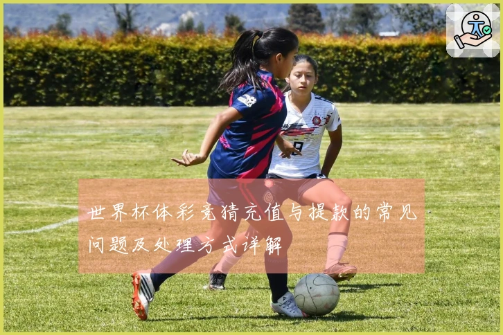 世界杯体彩竞猜充值与提款的常见问题及处理方式详解