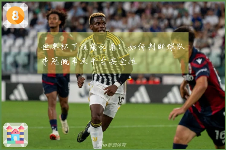 世界杯下注前必看：如何判断球队夺冠概率及平台安全性