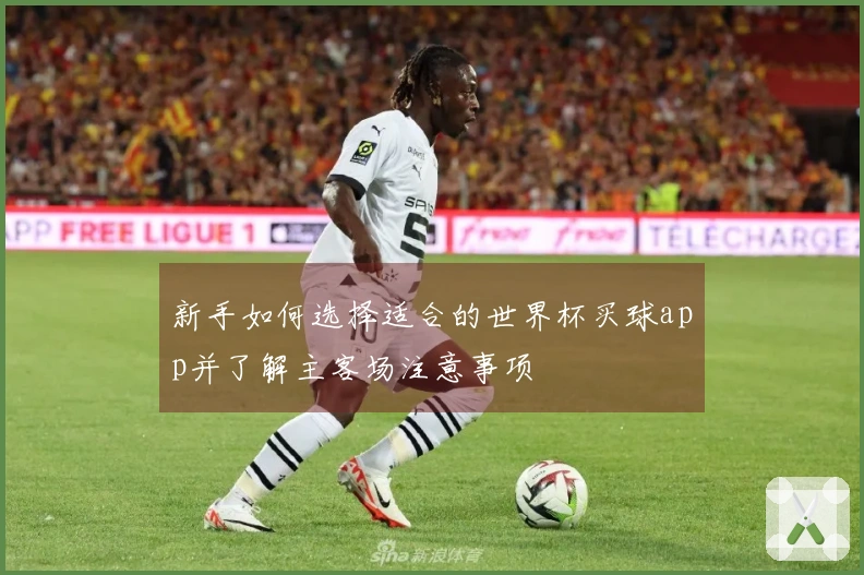 新手如何选择适合的世界杯买球app并了解主客场注意事项
